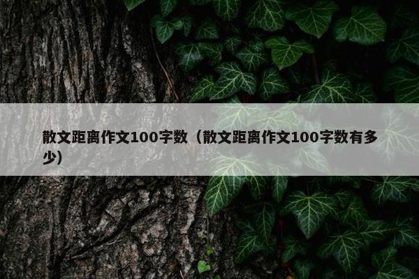 散文距离作文100字数（散文距离作文100字数有多少）