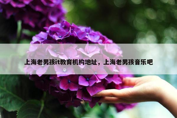 上海老男孩it教育机构地址，上海老男孩音乐吧