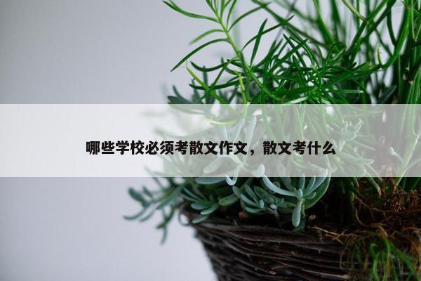 哪些学校必须考散文作文，散文考什么