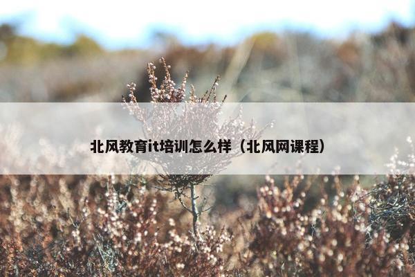 北风教育it培训怎么样（北风网课程）