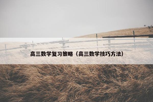 高三数学复习策略（高三数学技巧方法）