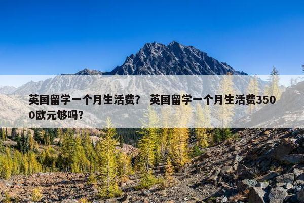 英国留学一个月生活费？ 英国留学一个月生活费3500欧元够吗？