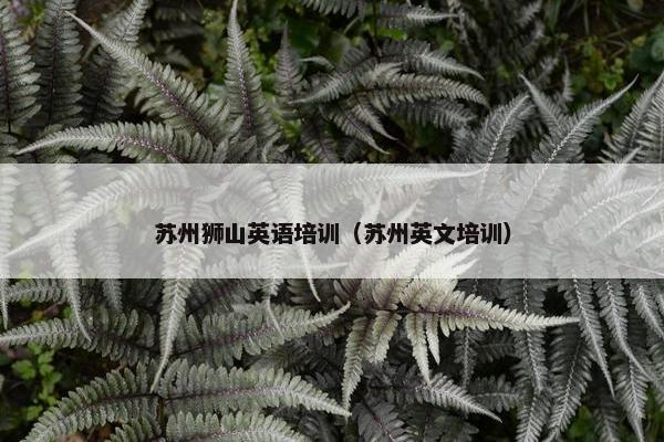 苏州狮山英语培训（苏州英文培训）