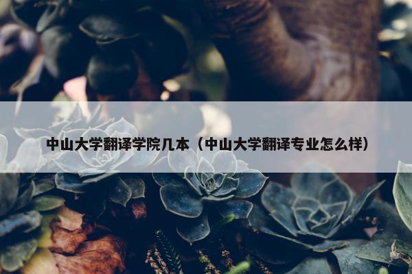 中山大学翻译学院几本（中山大学翻译专业怎么样）
