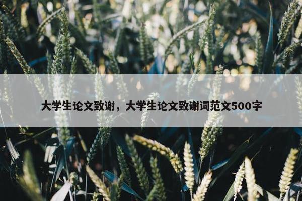 大学生论文致谢，大学生论文致谢词范文500字