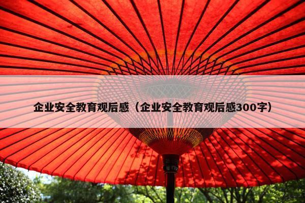 企业安全教育观后感（企业安全教育观后感300字）