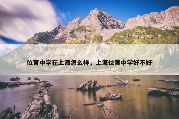 位育中学在上海怎么样，上海位育中学好不好