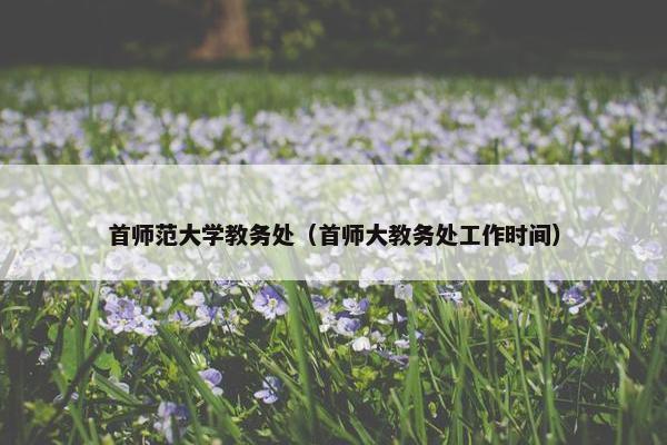 首师范大学教务处（首师大教务处工作时间）