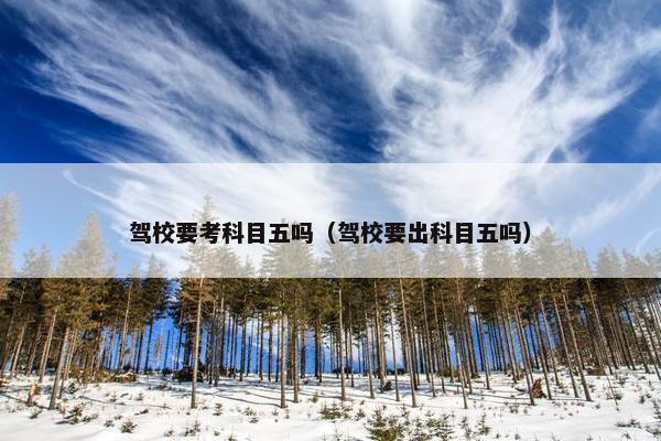 驾校要考科目五吗（驾校要出科目五吗）