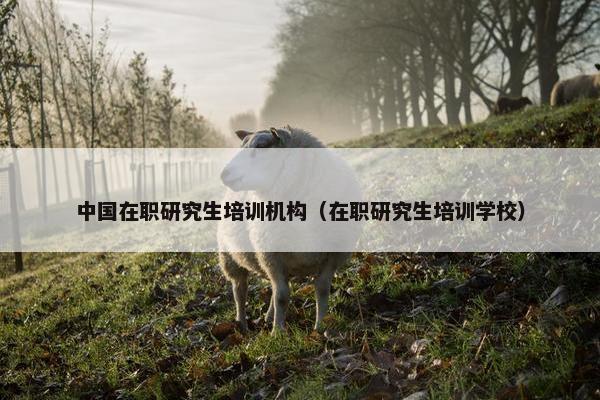 中国在职研究生培训机构（在职研究生培训学校）