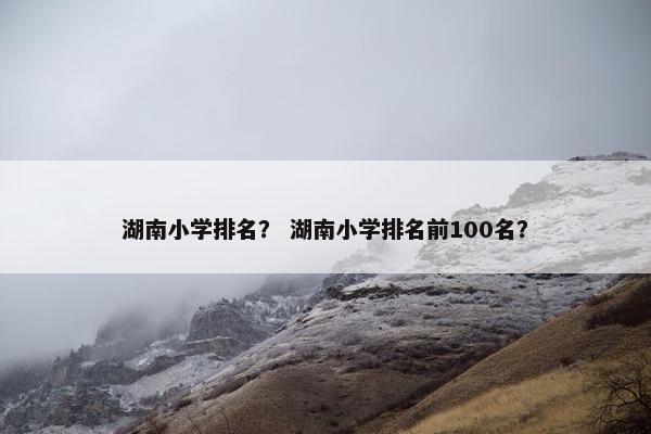 湖南小学排名？ 湖南小学排名前100名？