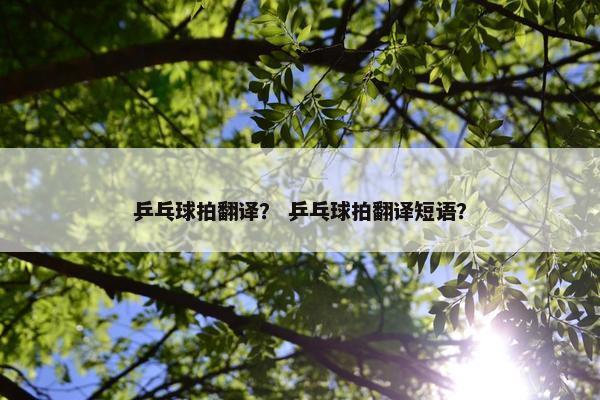 乒乓球拍翻译？ 乒乓球拍翻译短语？