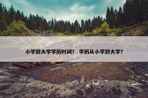 小学到大学学历时间？ 学历从小学到大学？