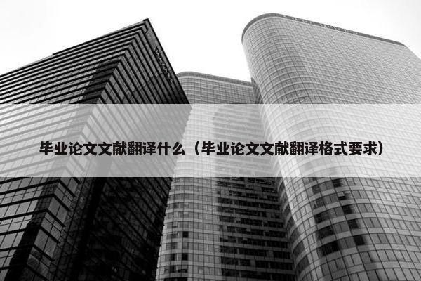 毕业论文文献翻译什么（毕业论文文献翻译格式要求）