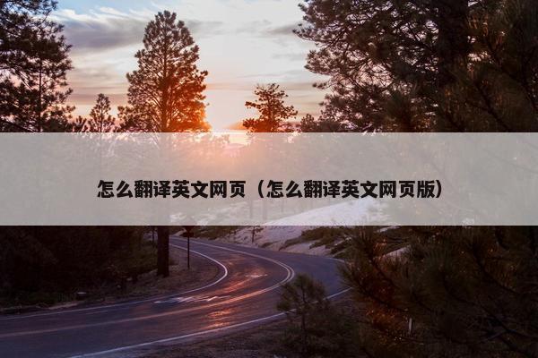 怎么翻译英文网页（怎么翻译英文网页版）