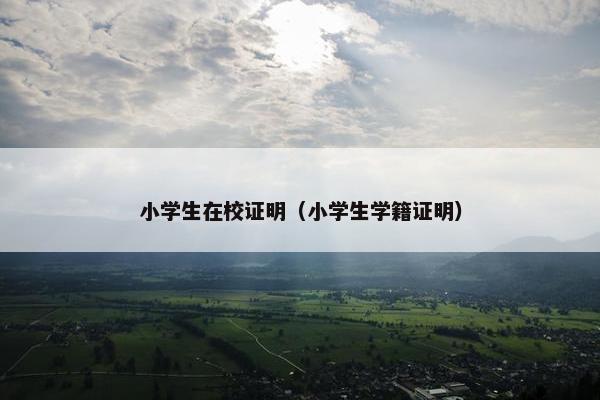 小学生在校证明（小学生学籍证明）