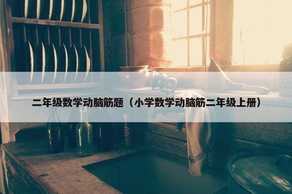 二年级数学动脑筋题（小学数学动脑筋二年级上册）