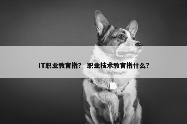 IT职业教育指？ 职业技术教育指什么？