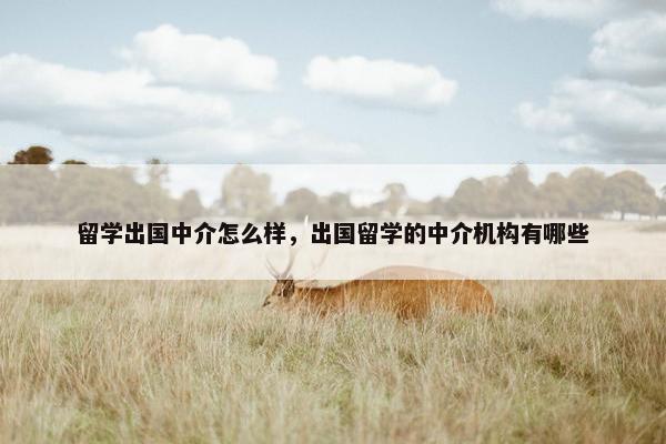 留学出国中介怎么样，出国留学的中介机构有哪些