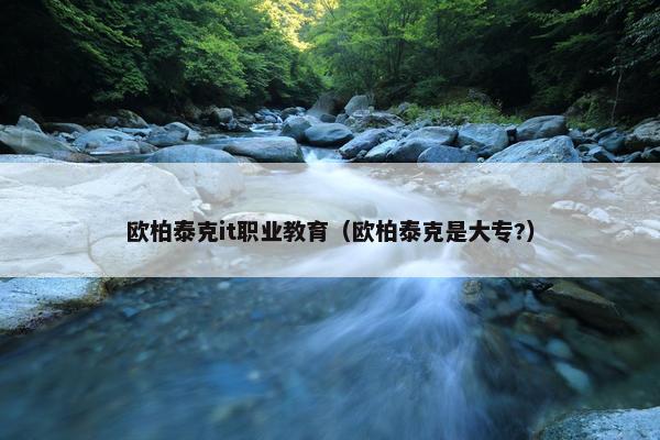 欧柏泰克it职业教育（欧柏泰克是大专?）