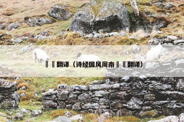 芣苢翻译（诗经国风周南芣苢翻译）