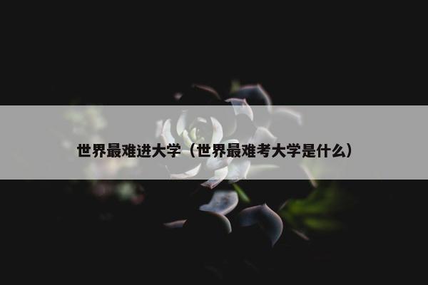 世界最难进大学（世界最难考大学是什么）