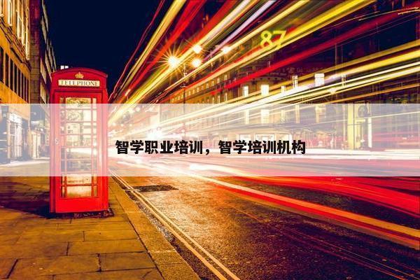 智学职业培训，智学培训机构