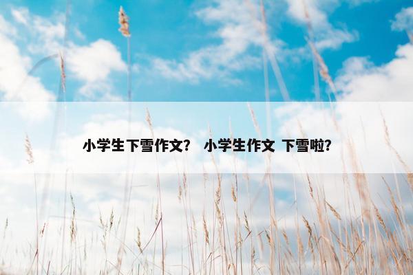 小学生下雪作文？ 小学生作文 下雪啦？