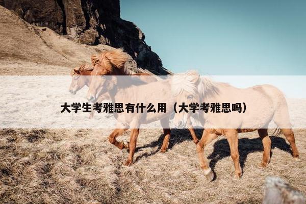 大学生考雅思有什么用（大学考雅思吗）
