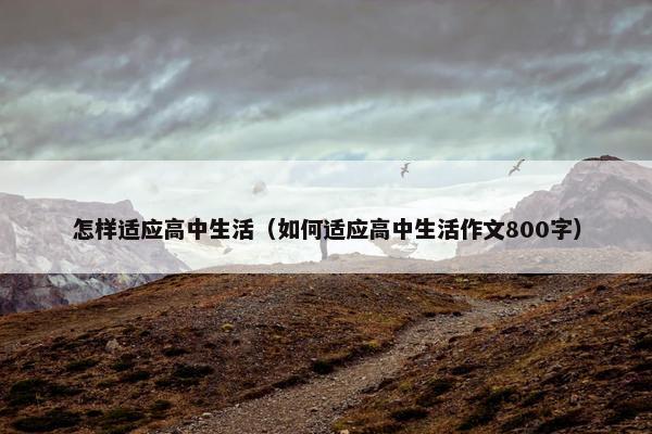 怎样适应高中生活（如何适应高中生活作文800字）