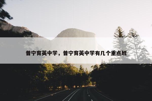 普宁育英中学，普宁育英中学有几个重点班