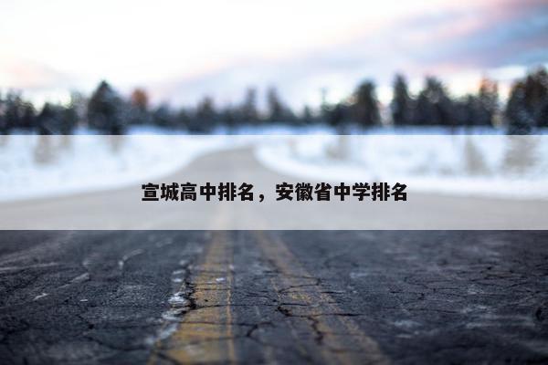 宣城高中排名，安徽省中学排名