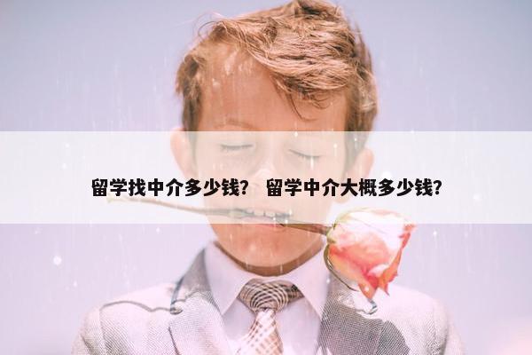 留学找中介多少钱？ 留学中介大概多少钱？