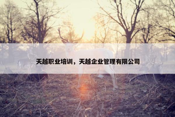 天越职业培训，天越企业管理有限公司