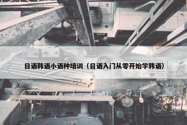 日语韩语小语种培训（日语入门从零开始学韩语）