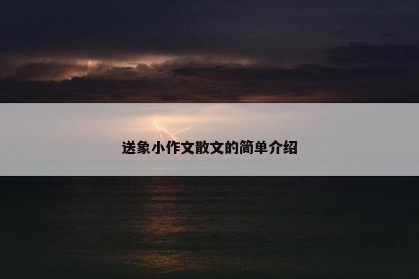 送象小作文散文的简单介绍