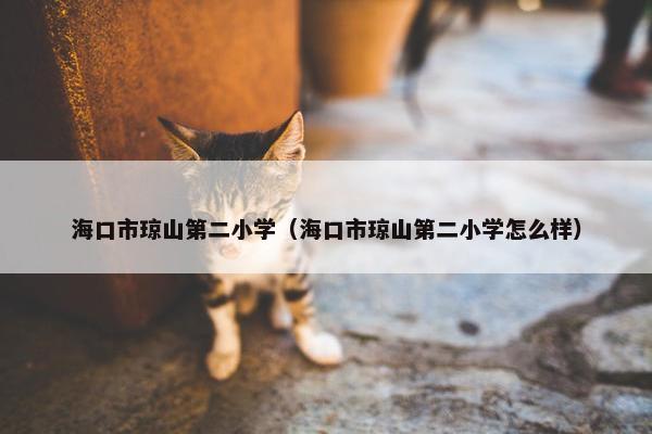 海口市琼山第二小学（海口市琼山第二小学怎么样）