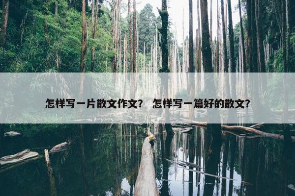 怎样写一片散文作文？ 怎样写一篇好的散文？