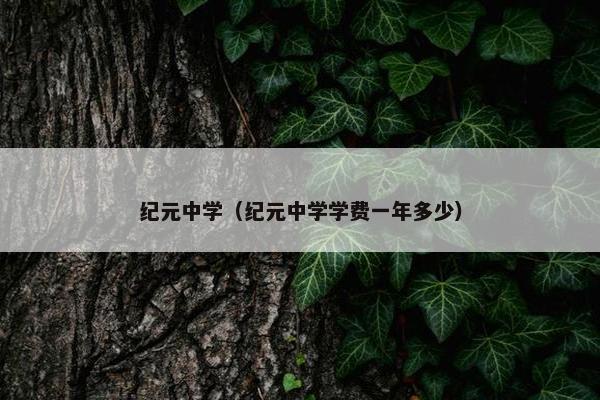 纪元中学（纪元中学学费一年多少）